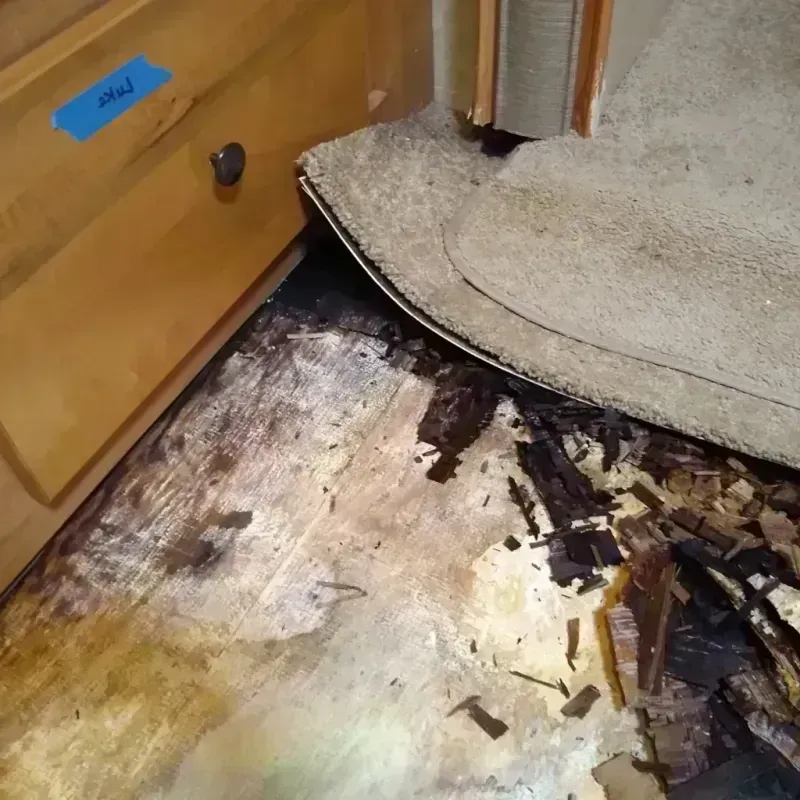 Best Wood Floor Water Damage Service in Elkhorn, NE